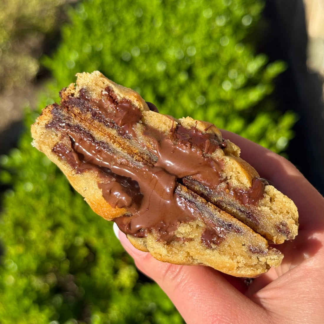 Chocolate_Chips_Cookie_2