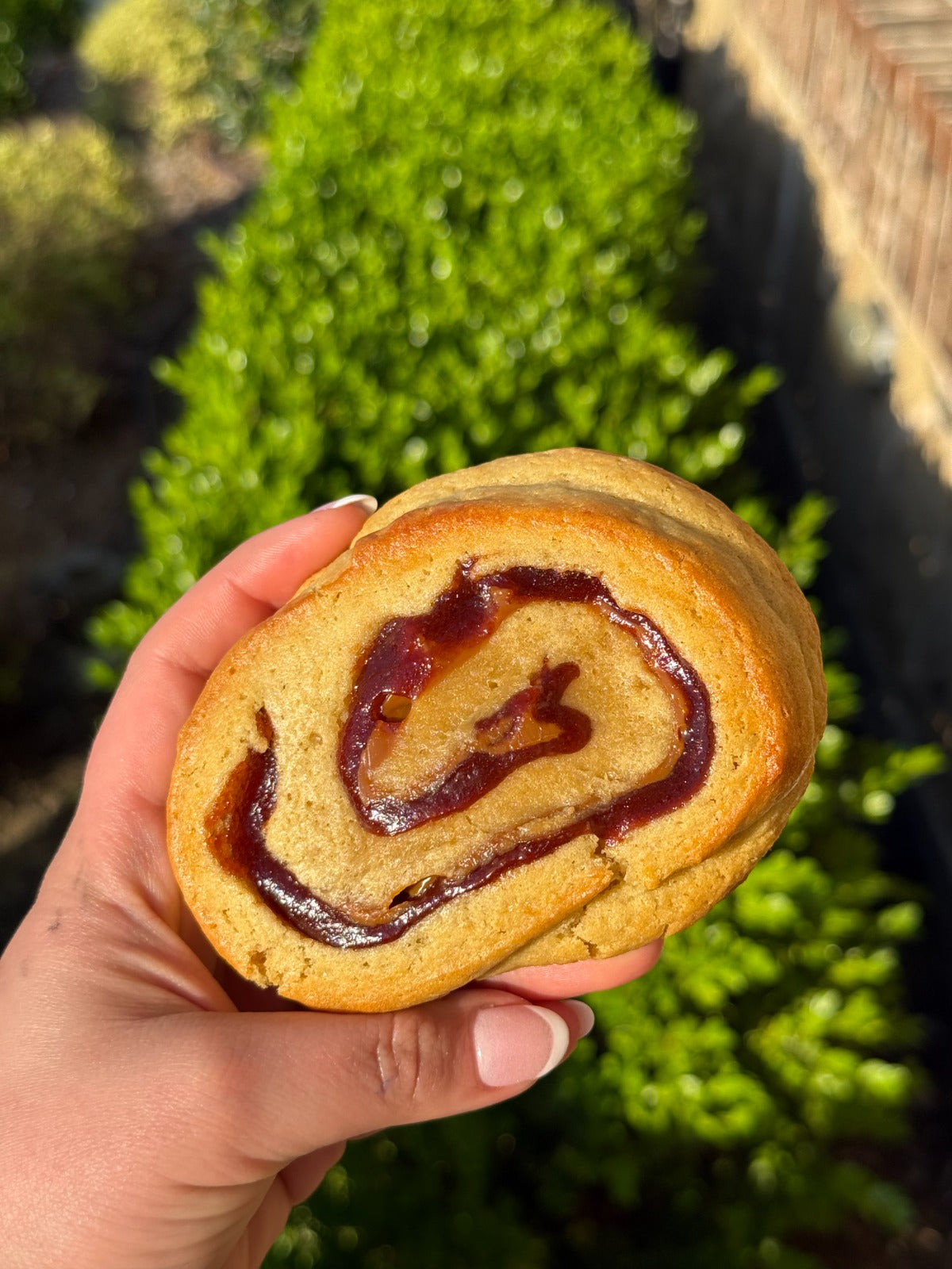 Guava Dulce de Leche | Sookies