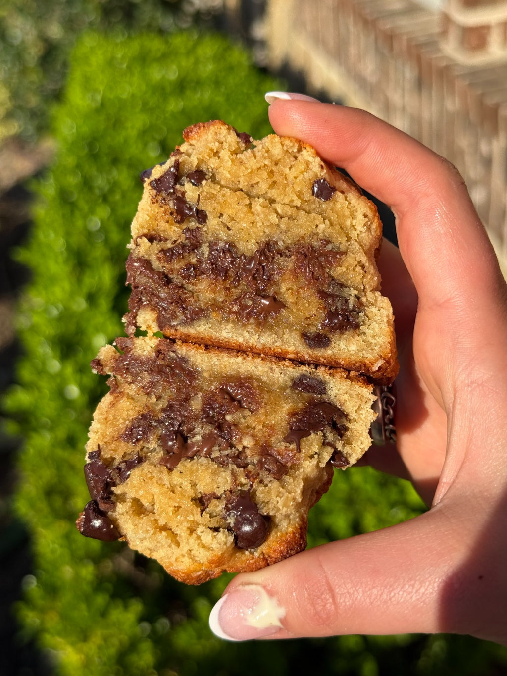 High Protein Cookie | Sookies
