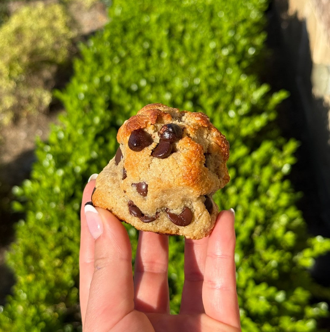 High Protein Cookie | Sookies