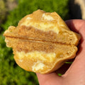 Lemon Pie 0